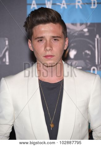 LOS ANGELES - AUG 30:  Brooklyn Beckham 2015 MTV Video Music Awards - Arrivals  on August 30, 2015 in Hollywood, CA                