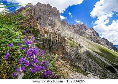 View Of The Rosengarten Group In The Dolomites, Italy