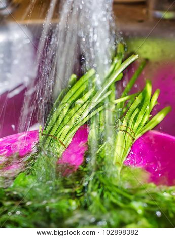 Wash The Parsley, Dill Shower, Kitchen, Dishes, Wash The Greens