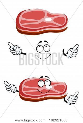 Cartoon raw beef steak slice
