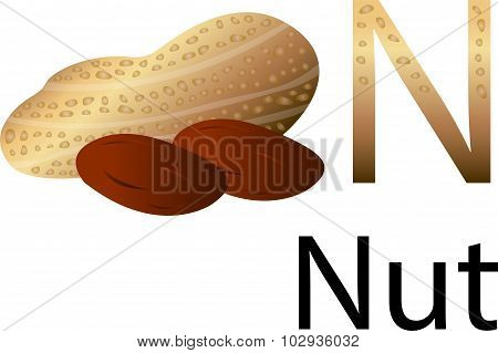 N font with nut