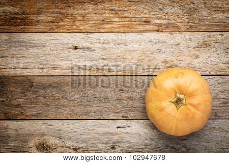 round winter squash on a grunge weathered barn wood with a copy space