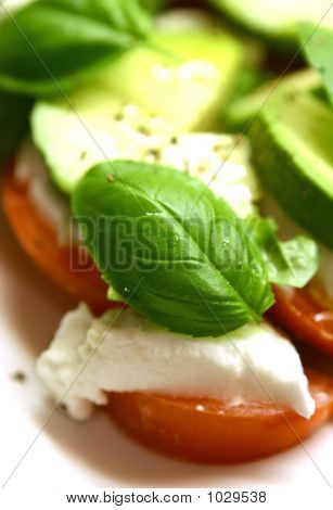 Mozzarella Tricolore 