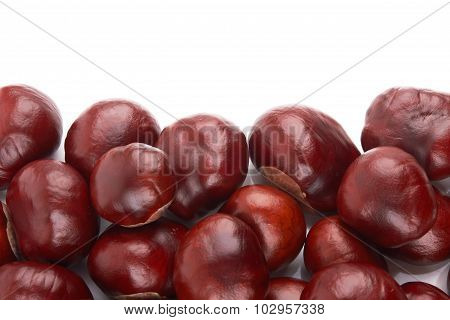 Chestnut