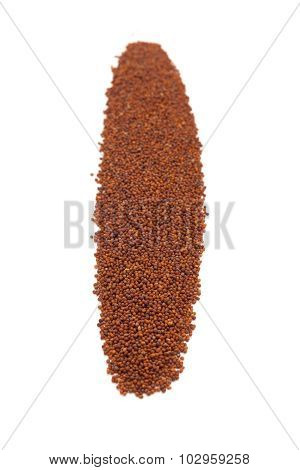 Row of Organic Small Brown Mustard Seeds.