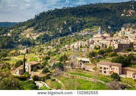 Valldemossa In Spring