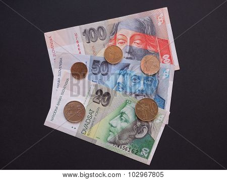 Slovak Currency
