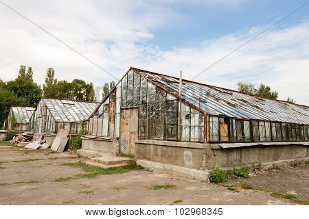 Abandoned greenhouse