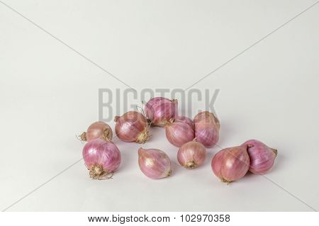 Shallots (Allium ascalonicum)