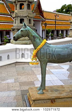 Horse  In The Temple Bangkok Asia