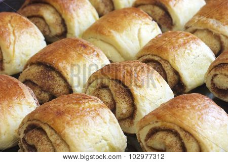 Fresh fragrant cinnamon rolls