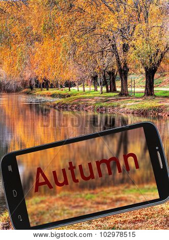 autumnal landscape