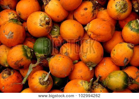 Beetle nut / Arecanut
