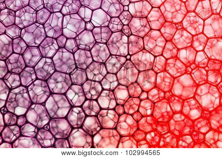 Saturated Purple And Red Pattern