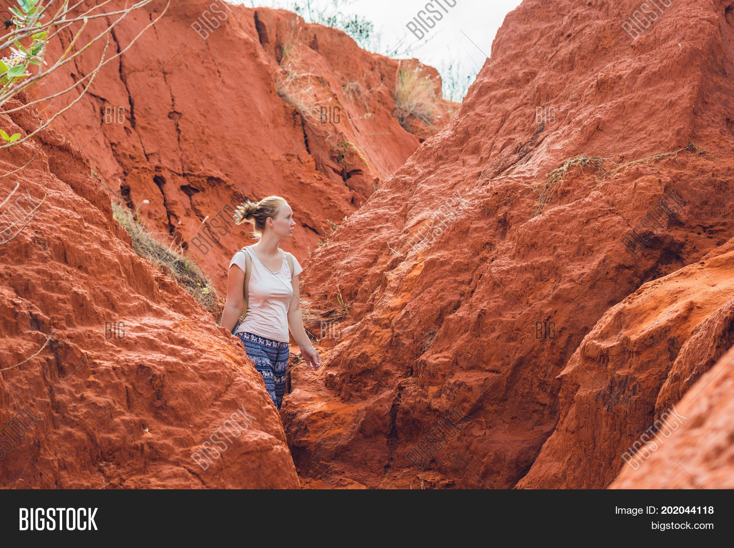 Image Preview