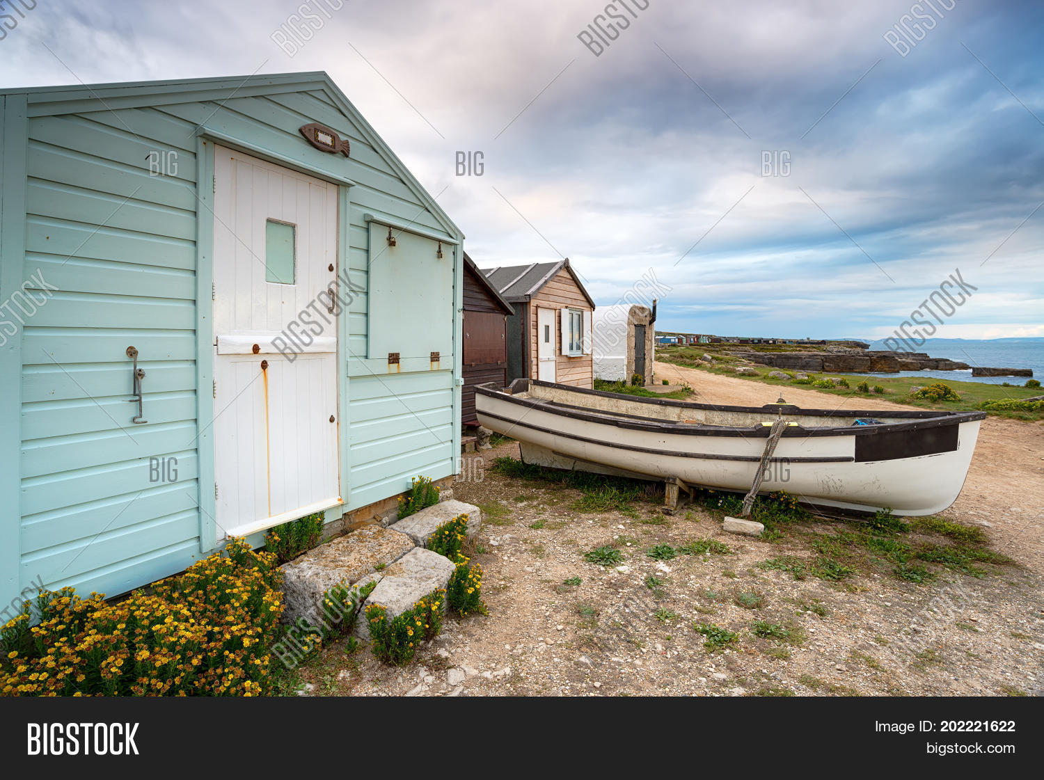 Image Preview