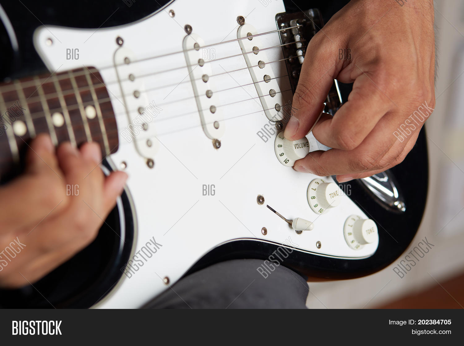 Image Preview