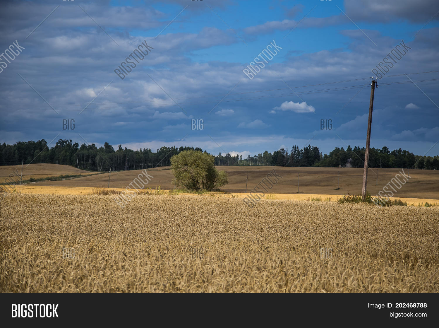Image Preview