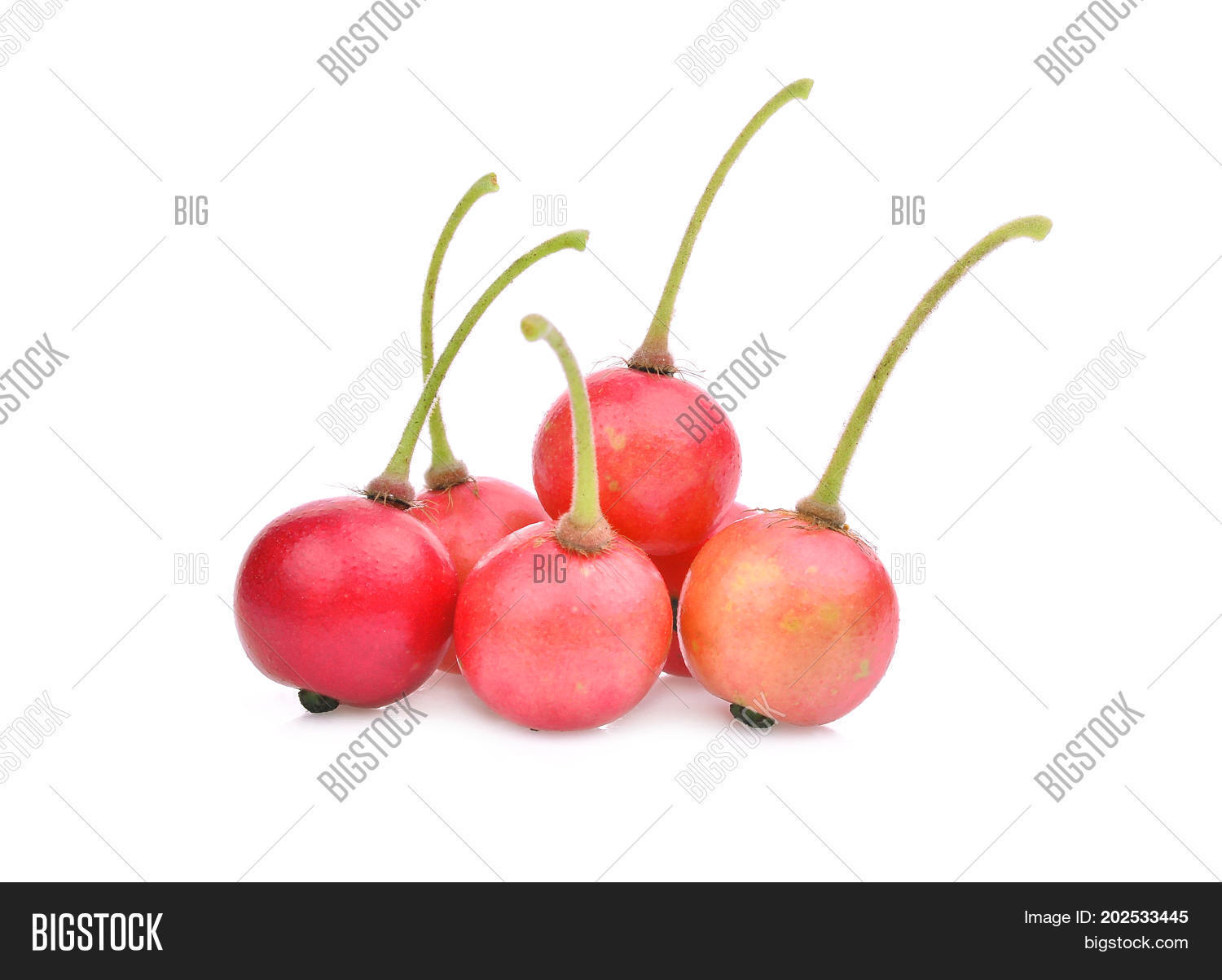 Image Preview