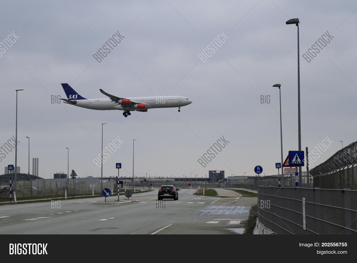 Image Preview