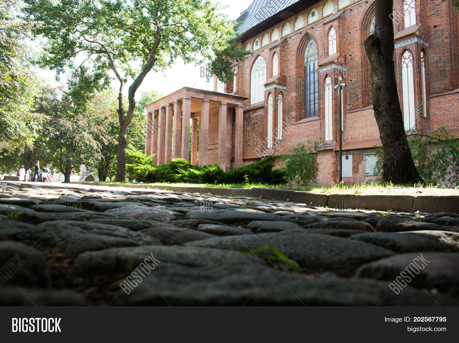 Image Preview