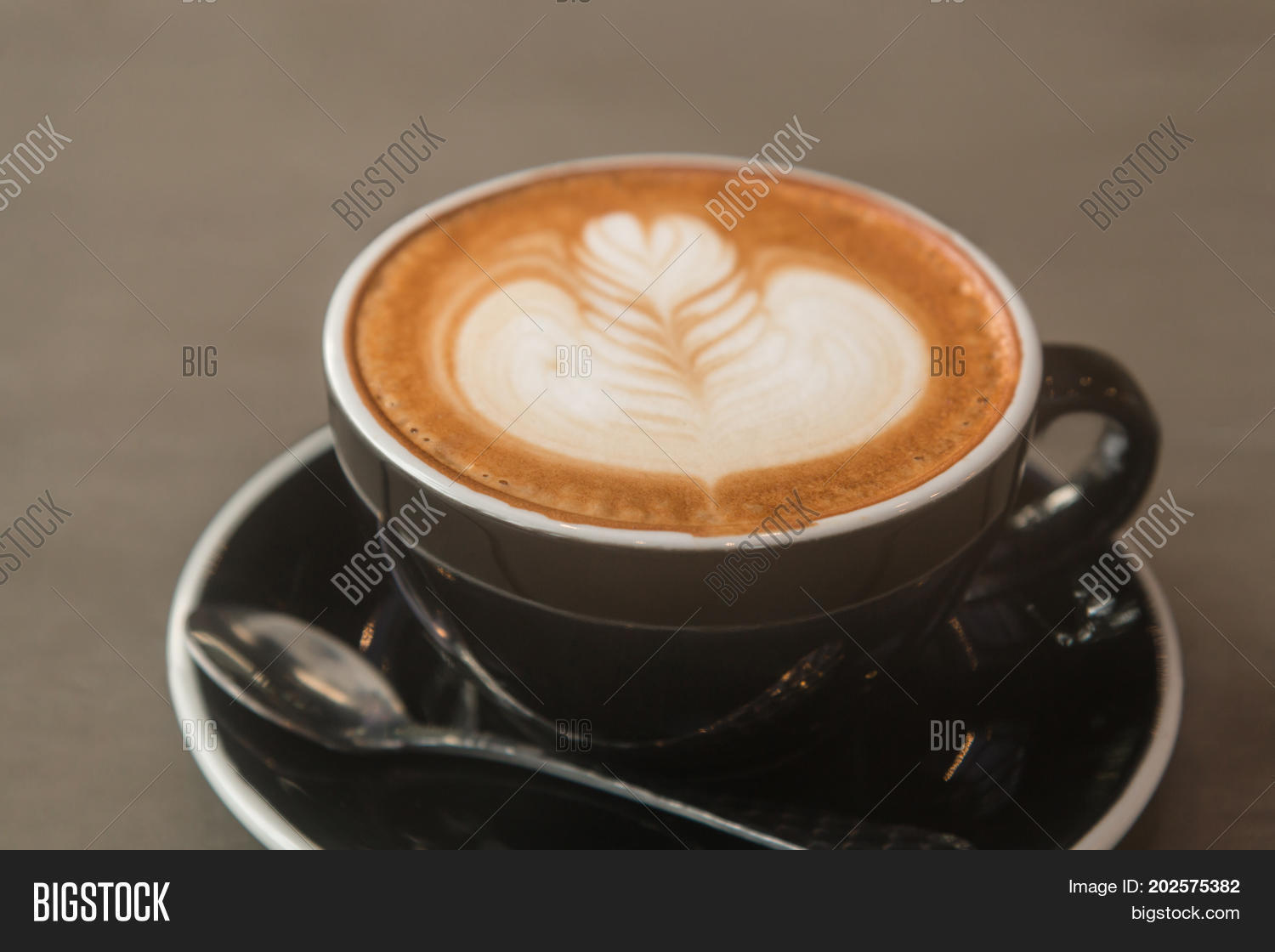 Image Preview