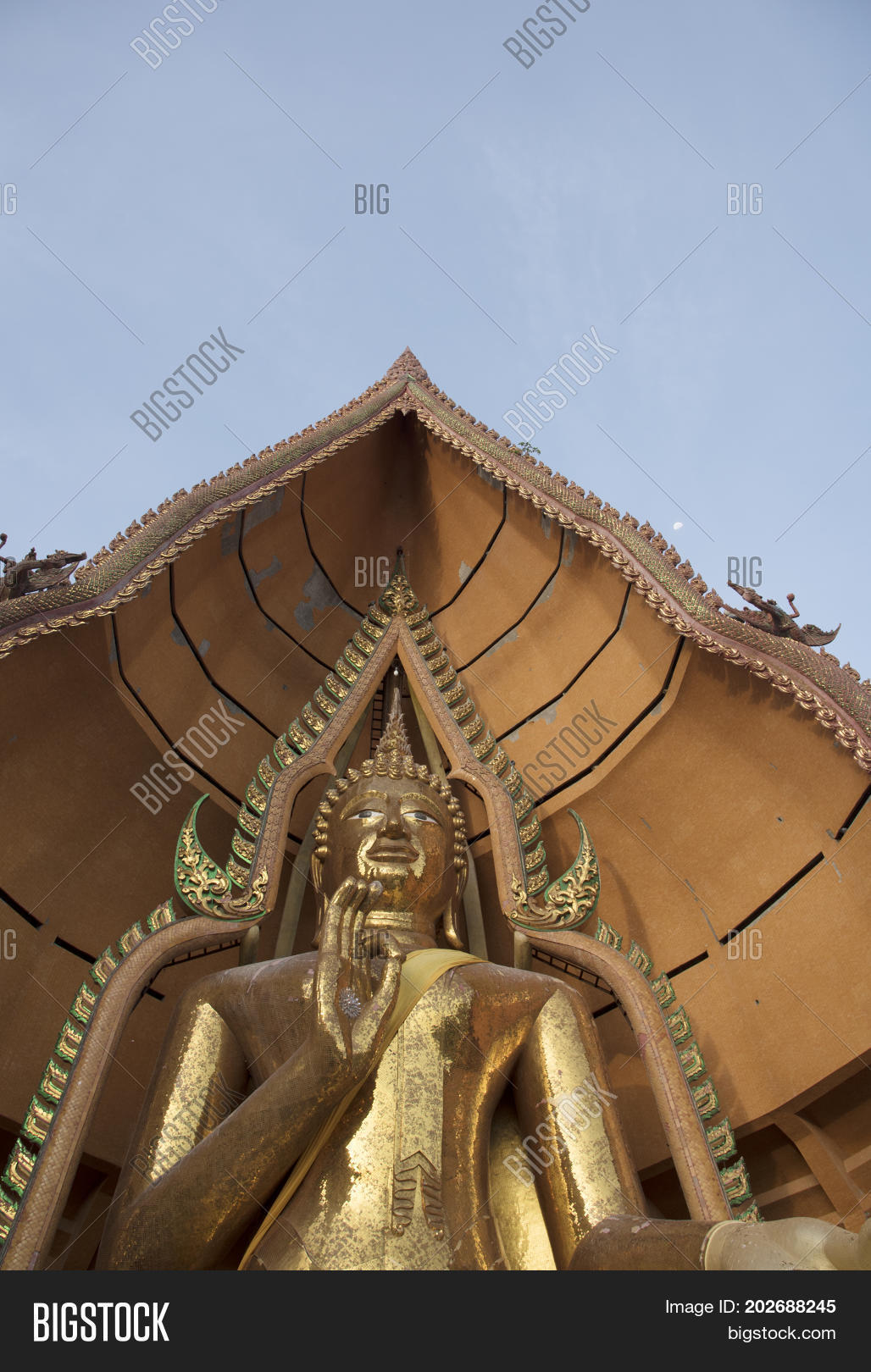 Image Preview
