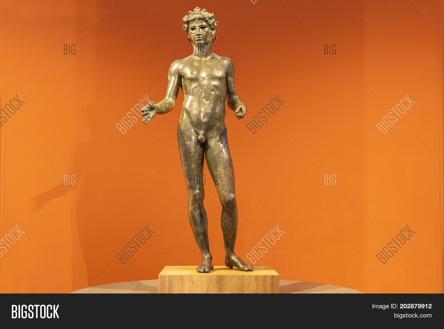 Image Preview