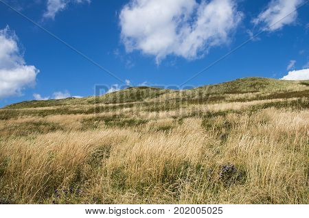 Bieszczady National Park. Carpathian mountains landscape. Mountains scenery. Polonina Carynska.