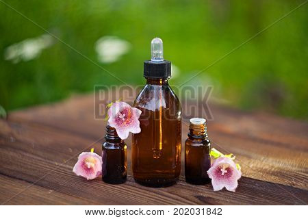Essence Of  Flowers On Table In Beautiful Glass Bottle