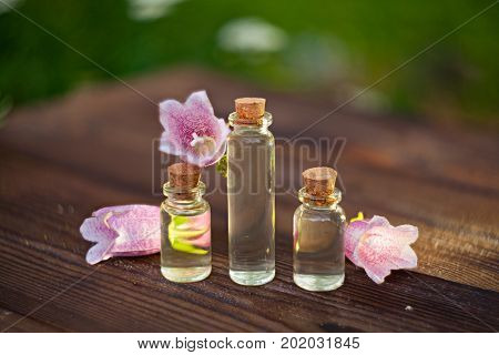 Essence Of  Flowers On Table In Beautiful Glass Bottle