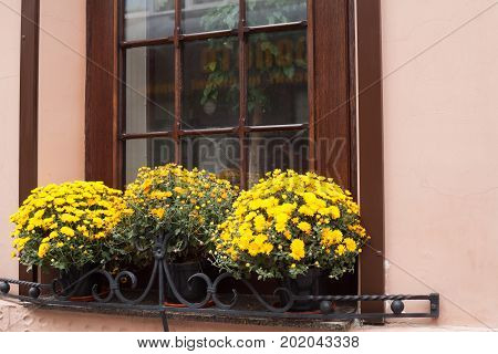 window and flowerbox in ukraine at summer