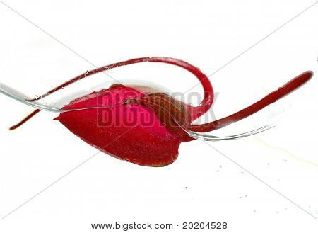 mooie rode bloem bud op een wateroppervlak geïsoleerd op witte achtergrond