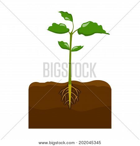 Plants single icon in cartoon style.Plants, vector symbol stock illustration .