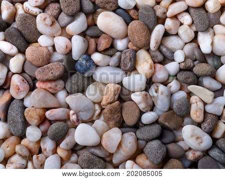 Background of different colors small sea pebbles. Top view