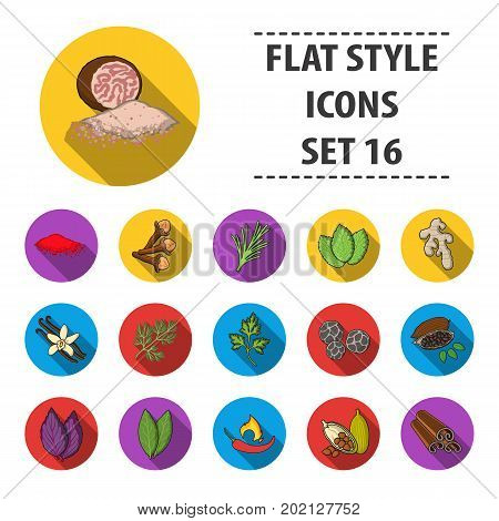 Herb and spices set icons in flat style. Big collection of herb and spices vector symbol stock
