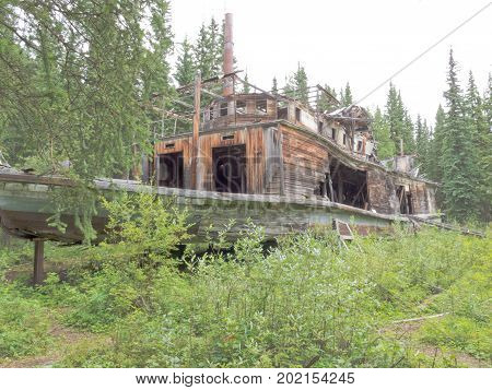 Steamboat sternwheeler wreck of Evelyn rotting in the wilderness of Shipyard Island next to historic Hootalinqua on Yukon River Yukon Territory Canada