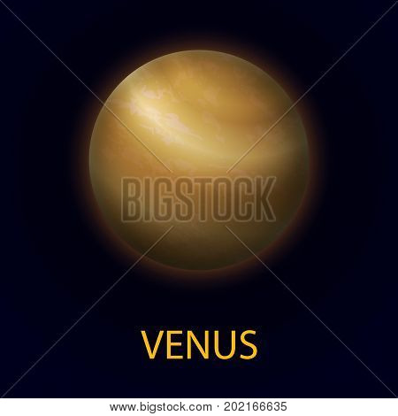 Venus. Realistic planet of the solar system. Second planet from the sun. Vector illustration on dark background.