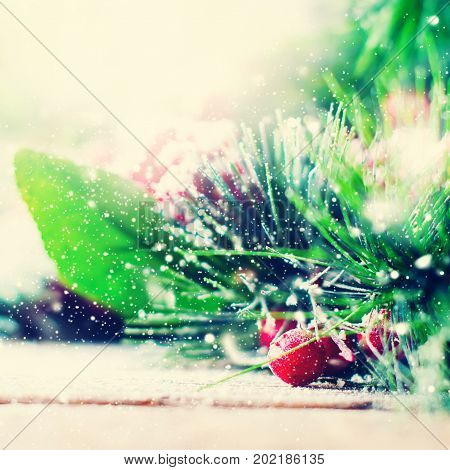 Christmas Branches Covered Snow Toned