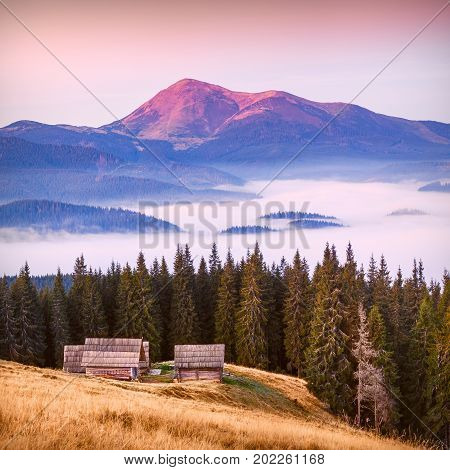 Morning On Ozerna