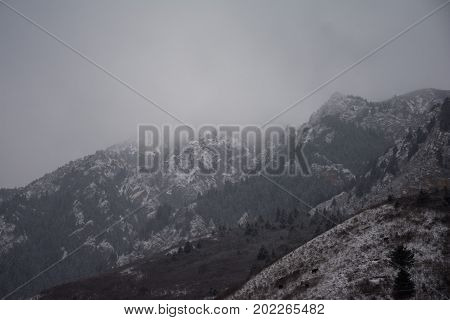 Mountains covered with snow. View of the mountains from a slope covered with grass. Mountains and forests on the sky background
