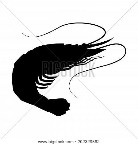 Shrimp icon Shrimp silhouette seafood shop label isolated vector sign symbol.