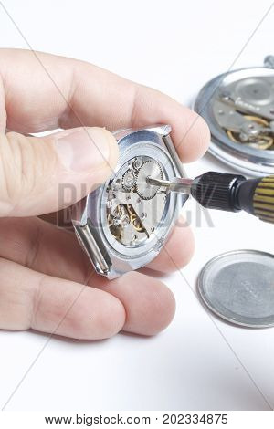 The Watch Workshop. Repair Of Old Watches. The Mechanism Of The Clock, The Screwdriver, Which The Ma