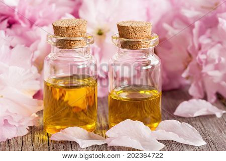 Two bottles of essential oil with pink kwanzan cherry blossoms in the background
