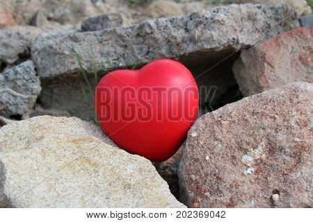 Red heart on disposal brash/ This is red heart on disposal brash.