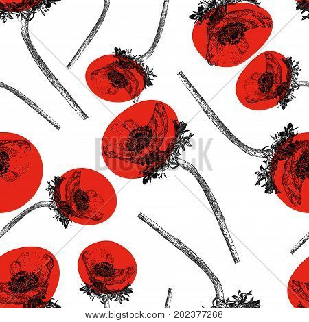 Seamless pattern with red Anemone flower isolated on white background. Graphic drawing pointillism technique. Botanical natural collection. Floral illustration drawn by hand