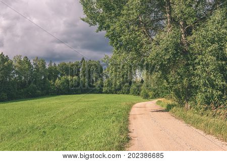 Country Road In Forest - Vintage Effect