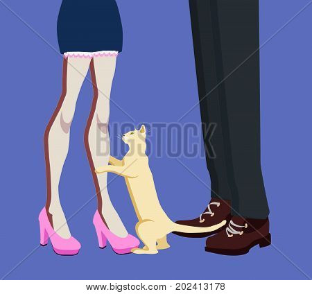 man and woman legs, and a cat between them, vector illustration isolated