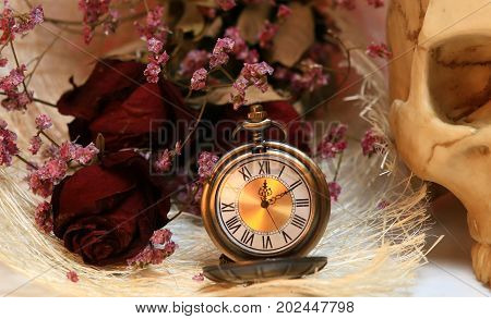 close up ancient clock with dried Valentine rose and human skull represent time and Halloween