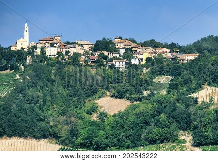 Rural landscape at summertime along the road from Santa Maria della Versa to Carmine (Pavia Lombardy). View of Cerchiara
